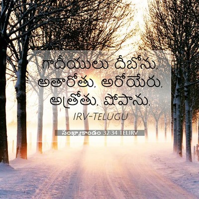 Picture 07 - సంఖ్యాకాండం 32:34 TELIRV - గాదీయులు దీబోను, - Bible Verse Picture