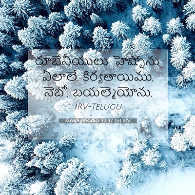 Picture 07 - సంఖ్యాకాండం 32:37 TELIRV - రూబేనీయులు - Bible Verse Picture