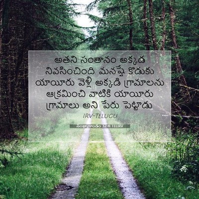 Picture 07 - సంఖ్యాకాండం 32:41 TELIRV - అతని సంతానం అక్కడ - Bible Verse Picture