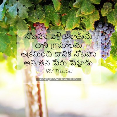 Picture 07 - సంఖ్యాకాండం 32:42 TELIRV - నోబహు వెళ్లి - Bible Verse Picture
