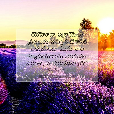 Picture 07 - సంఖ్యాకాండం 32:7 TELIRV - యెహోవా ఇశ్రాయేలు - Bible Verse Picture