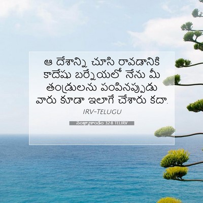 Picture 07 - సంఖ్యాకాండం 32:8 TELIRV - ఆ దేశాన్ని చూసి - Bible Verse Picture