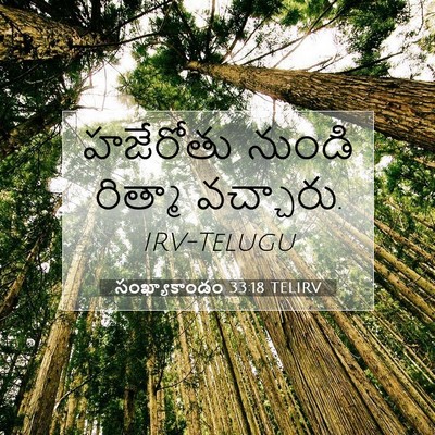 Picture 07 - సంఖ్యాకాండం 33:18 TELIRV - హజేరోతు నుండి - Bible Verse Picture