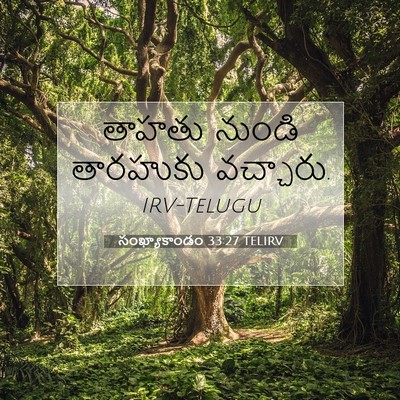 Picture 07 - సంఖ్యాకాండం 33:27 TELIRV - తాహతు నుండి - Bible Verse Picture