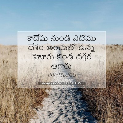 Picture 07 - సంఖ్యాకాండం 33:37 TELIRV - కాదేషు నుండి - Bible Verse Picture