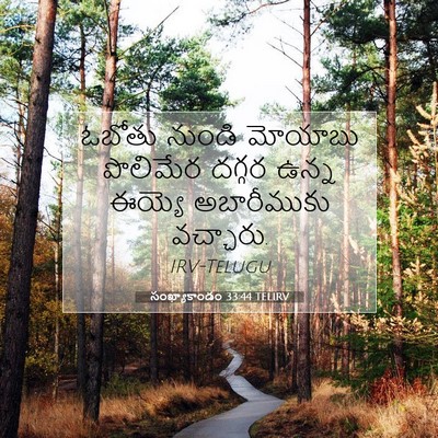 Picture 07 - సంఖ్యాకాండం 33:44 TELIRV - ఓబోతు నుండి - Bible Verse Picture