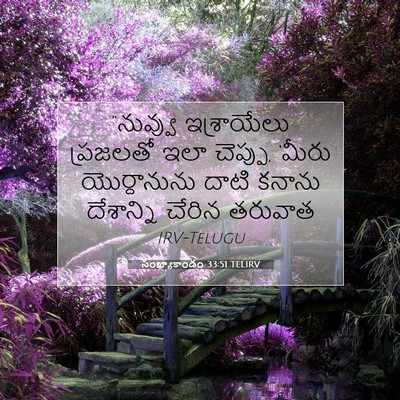Picture 07 - సంఖ్యాకాండం 33:51 TELIRV - “నువ్వు ఇశ్రాయేలు - Bible Verse Picture