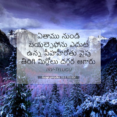 Picture 07 - సంఖ్యాకాండం 33:7 TELIRV - ఏతాము నుండి - Bible Verse Picture
