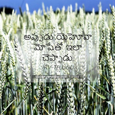 Picture 07 - సంఖ్యాకాండం 34:16 TELIRV - అప్పుడు యెహోవా - Bible Verse Picture