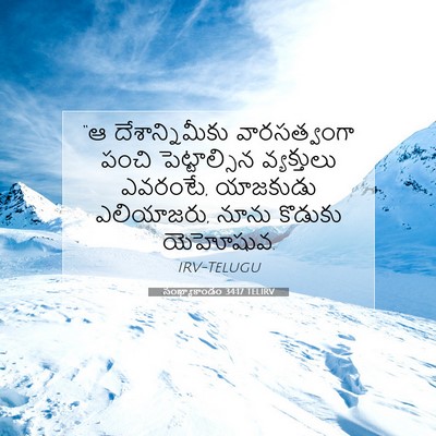 Picture 07 - సంఖ్యాకాండం 34:17 TELIRV - “ఆ దేశాన్నిమీకు - Bible Verse Picture