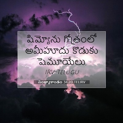 Picture 07 - సంఖ్యాకాండం 34:20 TELIRV - షిమ్యోను గోత్రంలో - Bible Verse Picture
