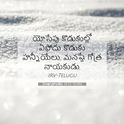 Picture 07 - సంఖ్యాకాండం 34:23 TELIRV - యోసేపు కొడుకుల్లో - Bible Verse Picture