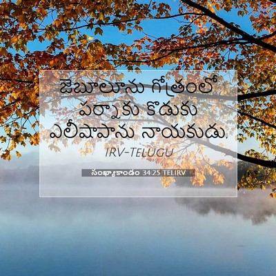 Picture 07 - సంఖ్యాకాండం 34:25 TELIRV - జెబూలూను గోత్రంలో - Bible Verse Picture