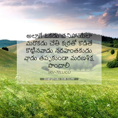 Picture 07 - సంఖ్యాకాండం 35:18 TELIRV - అలాగే ఒకడు - Bible Verse Picture