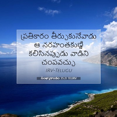 Picture 07 - సంఖ్యాకాండం 35:21 TELIRV - ప్రతికారం - Bible Verse Picture