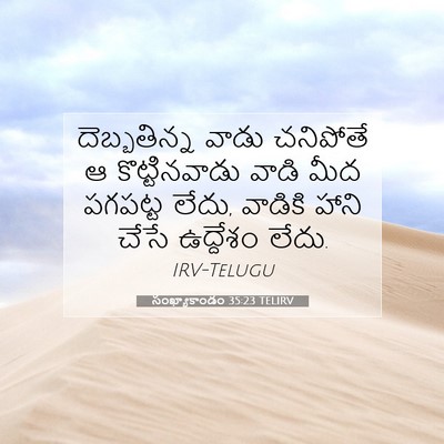 Picture 07 - సంఖ్యాకాండం 35:23 TELIRV - దెబ్బతిన్న వాడు - Bible Verse Picture