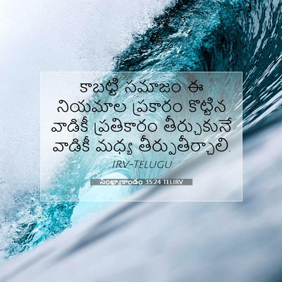 Picture 07 - సంఖ్యాకాండం 35:24 TELIRV - కాబట్టి సమాజం ఈ - Bible Verse Picture