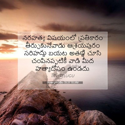 Picture 07 - సంఖ్యాకాండం 35:27 TELIRV - నరహత్య విషయంలో - Bible Verse Picture