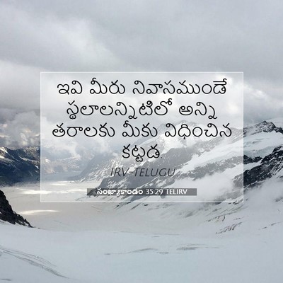 Picture 07 - సంఖ్యాకాండం 35:29 TELIRV - ఇవి మీరు - Bible Verse Picture