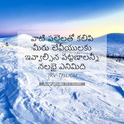 Picture 07 - సంఖ్యాకాండం 35:7 TELIRV - వాటి పల్లెలతో - Bible Verse Picture