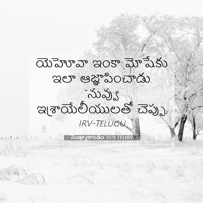 Picture 07 - సంఖ్యాకాండం 35:9 TELIRV - యెహోవా ఇంకా - Bible Verse Picture