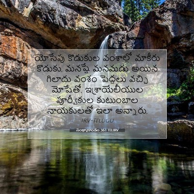 Picture 07 - సంఖ్యాకాండం 36:1 TELIRV - యోసేపు కొడుకుల - Bible Verse Picture
