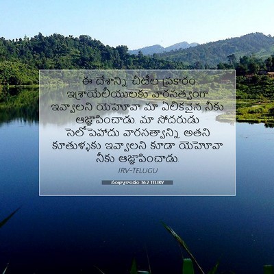 Picture 07 - సంఖ్యాకాండం 36:2 TELIRV - “ఈ దేశాన్ని చీటీల - Bible Verse Picture