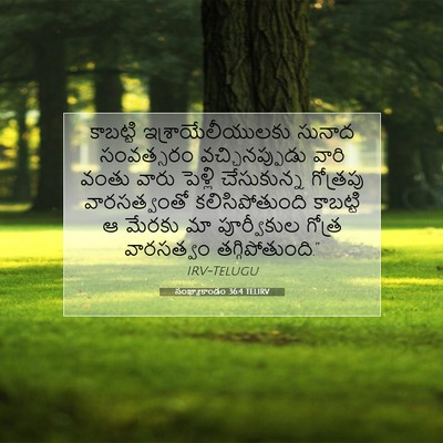 Picture 07 - సంఖ్యాకాండం 36:4 TELIRV - కాబట్టి - Bible Verse Picture