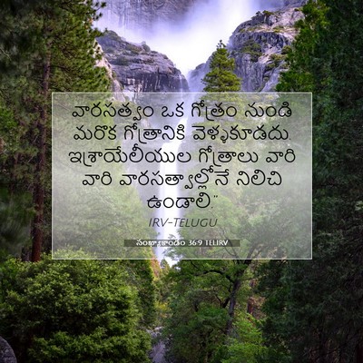 Picture 07 - సంఖ్యాకాండం 36:9 TELIRV - వారసత్వం ఒక - Bible Verse Picture