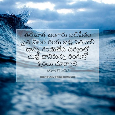 Picture 07 - సంఖ్యాకాండం 4:11 TELIRV - తరువాత బంగారు - Bible Verse Picture