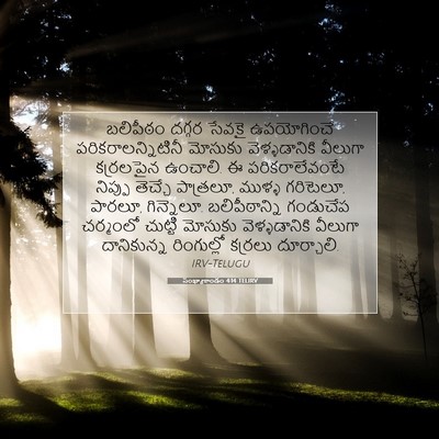 Picture 07 - సంఖ్యాకాండం 4:14 TELIRV - బలిపీఠం దగ్గర - Bible Verse Picture