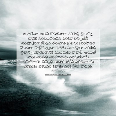 Picture 07 - సంఖ్యాకాండం 4:15 TELIRV - అహరోనూ అతని - Bible Verse Picture