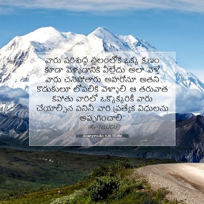 Picture 07 - సంఖ్యాకాండం 4:20 TELIRV - వారు పరిశుద్ధ - Bible Verse Picture