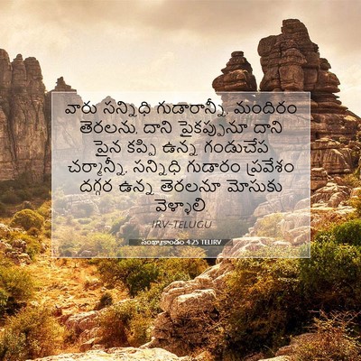 Picture 07 - సంఖ్యాకాండం 4:25 TELIRV - వారు సన్నిధి - Bible Verse Picture