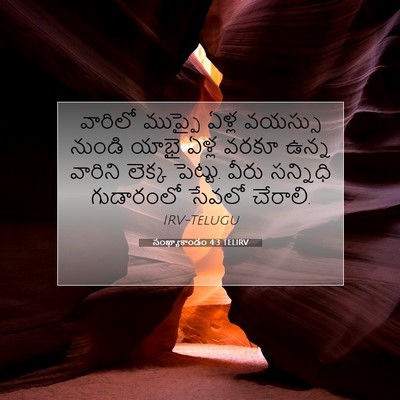 Picture 07 - సంఖ్యాకాండం 4:3 TELIRV - వారిలో ముప్ఫై - Bible Verse Picture