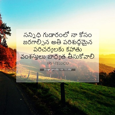 Picture 07 - సంఖ్యాకాండం 4:4 TELIRV - సన్నిధి గుడారంలో - Bible Verse Picture
