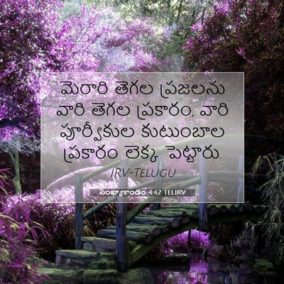 Picture 07 - సంఖ్యాకాండం 4:42 TELIRV - మెరారి తెగల - Bible Verse Picture