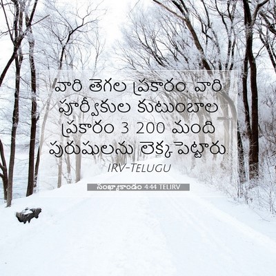 Picture 07 - సంఖ్యాకాండం 4:44 TELIRV - వారి తెగల ప్రకారం, - Bible Verse Picture