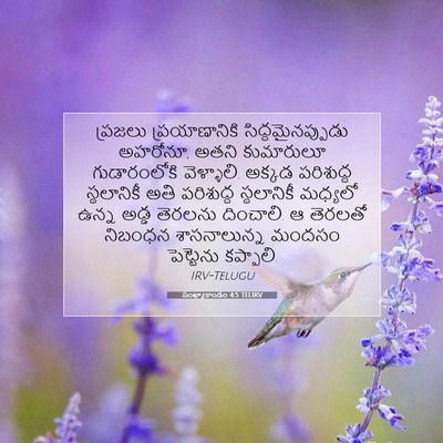 Picture 07 - సంఖ్యాకాండం 4:5 TELIRV - ప్రజలు - Bible Verse Picture