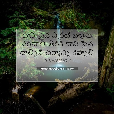 Picture 07 - సంఖ్యాకాండం 4:8 TELIRV - దాని పైన ఎర్రటి - Bible Verse Picture