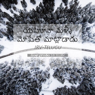 Picture 07 - సంఖ్యాకాండం 5:11 TELIRV - యెహోవా మళ్ళీ - Bible Verse Picture