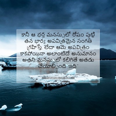 Picture 07 - సంఖ్యాకాండం 5:14 TELIRV - కానీ ఆ భర్త - Bible Verse Picture
