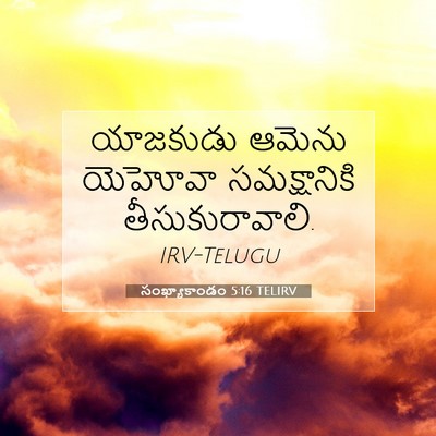 Picture 07 - సంఖ్యాకాండం 5:16 TELIRV - యాజకుడు ఆమెను - Bible Verse Picture