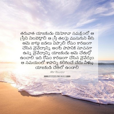 Picture 07 - సంఖ్యాకాండం 5:18 TELIRV - తరువాత యాజకుడు - Bible Verse Picture