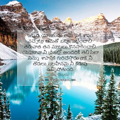 Picture 07 - సంఖ్యాకాండం 5:21 TELIRV - ఇక్కడ యాజకుడు ఆమె - Bible Verse Picture