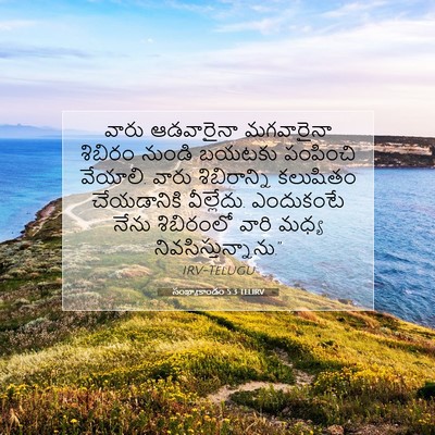 Picture 07 - సంఖ్యాకాండం 5:3 TELIRV - వారు ఆడవారైనా - Bible Verse Picture