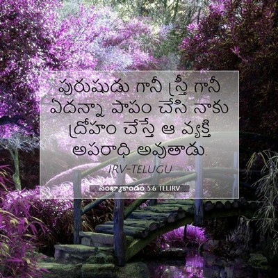 Picture 07 - సంఖ్యాకాండం 5:6 TELIRV - పురుషుడు గానీ - Bible Verse Picture