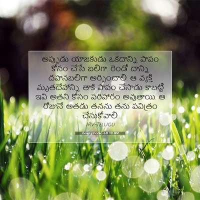 Picture 07 - సంఖ్యాకాండం 6:11 TELIRV - అప్పుడు యాజకుడు - Bible Verse Picture