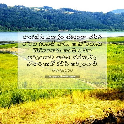 Picture 07 - సంఖ్యాకాండం 6:17 TELIRV - పొంగజేసే పదార్ధం - Bible Verse Picture
