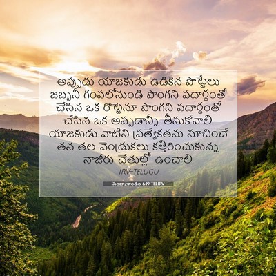 Picture 07 - సంఖ్యాకాండం 6:19 TELIRV - అప్పుడు యాజకుడు - Bible Verse Picture